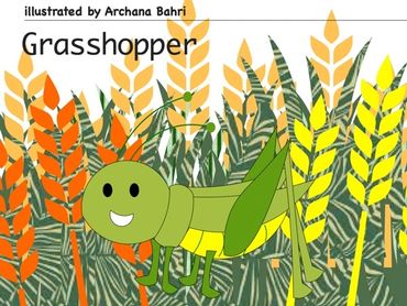 Life  cycle of Grass Hopper 