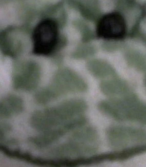 Just a selfie of my webkinz, nothing more!