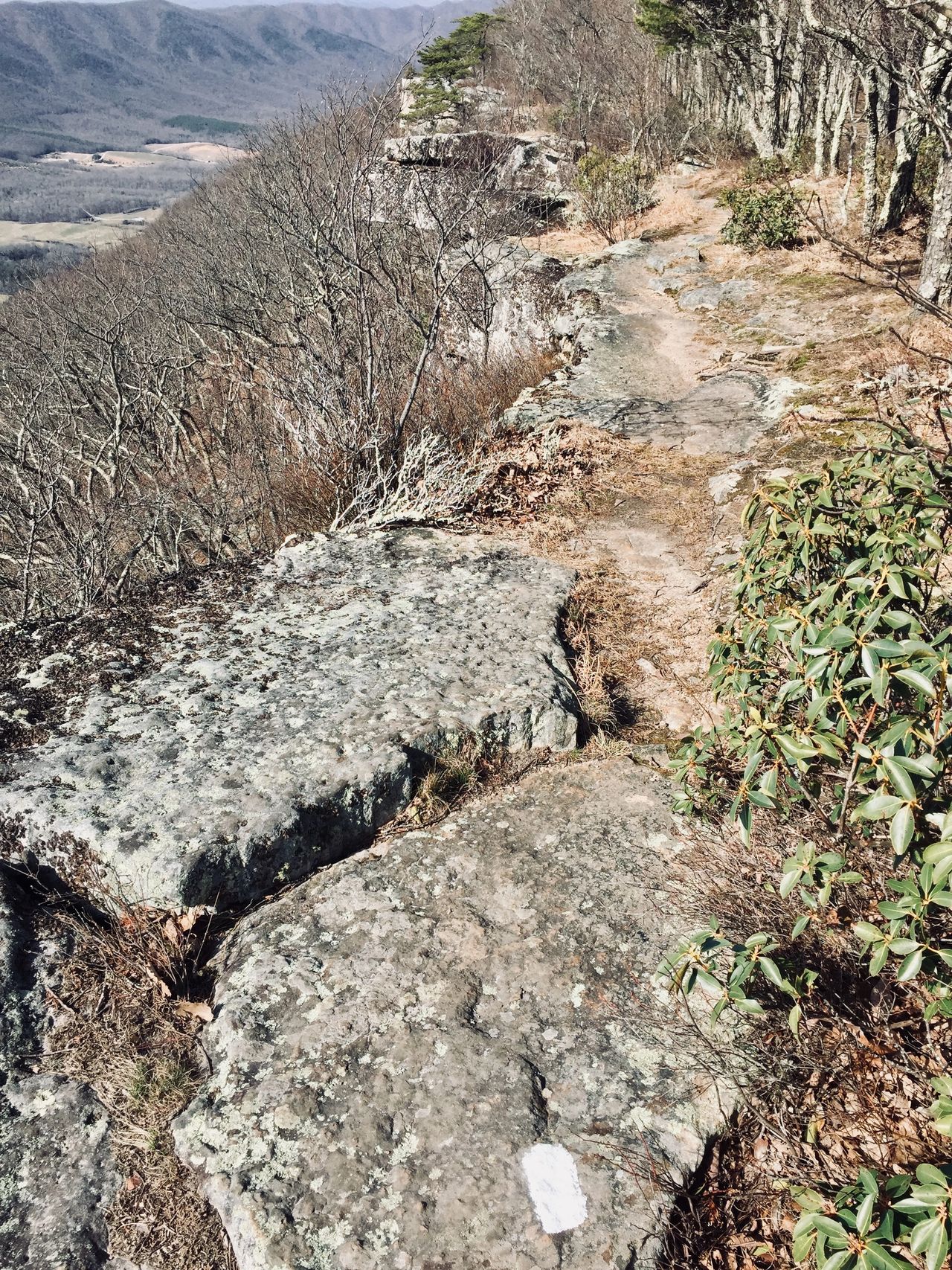 Tinker Cliffs