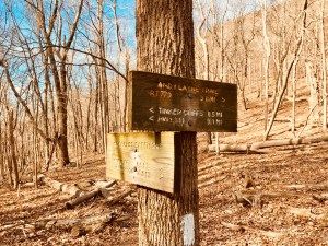 Scorched Earth Gap