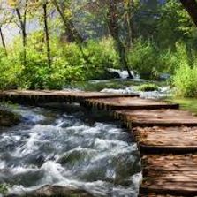 walking path with wooden stairs over a raging river with forest in the background
