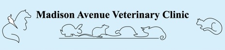 Madison Avenue Veterinary Clinic