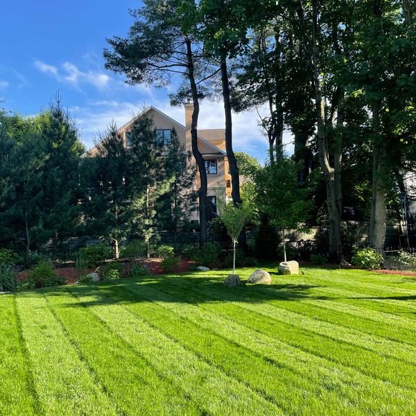 Green garden with lush grass, vibrant plants, and trees swaying gently 