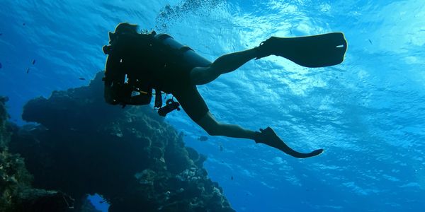  Daily Morning Dive