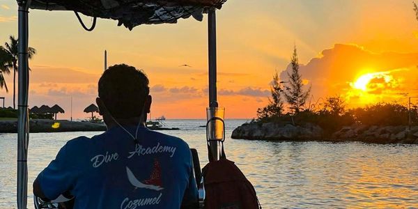 Twilight and Night Dives