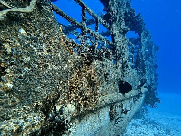 Wreck Diving in Cozumel