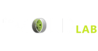 The Mold Lab