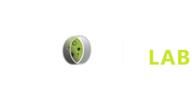 The Mold Lab