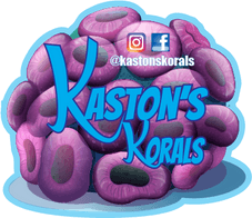 Kaston's Korals