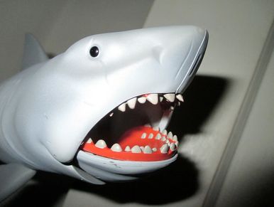 A plastic shark.