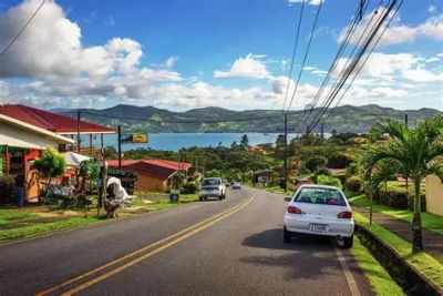 Sunny coastal road with cars and palm trees.
