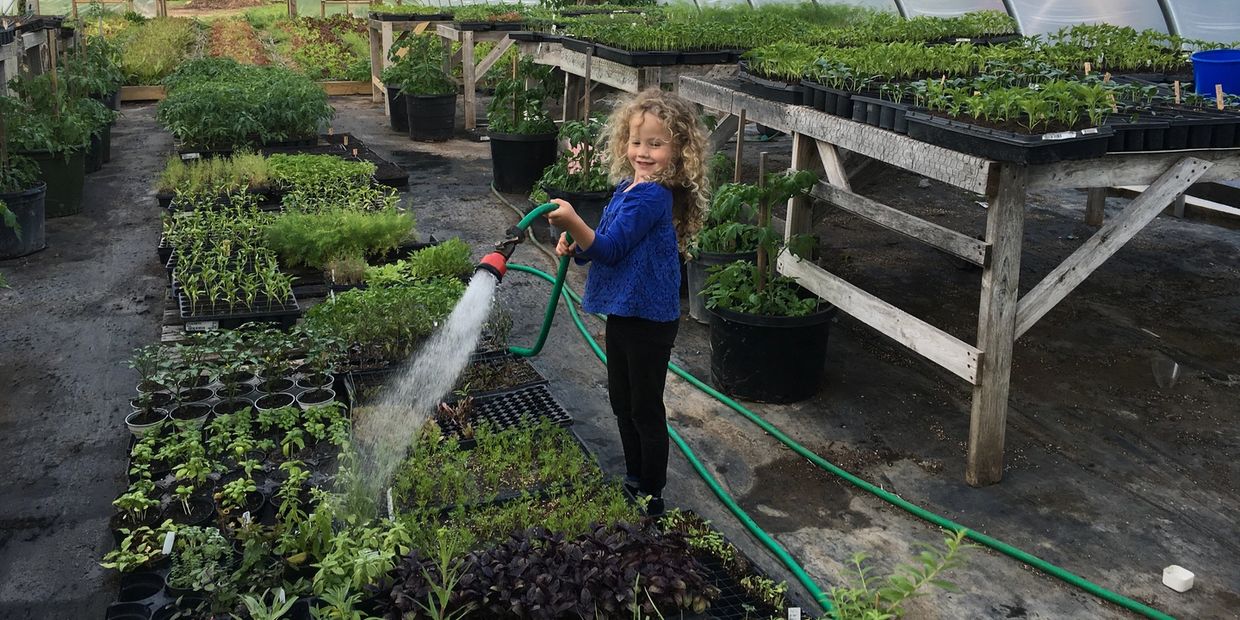 Plant nursery norman ok