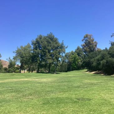 Sunny golf course fairway with green grass and trees.