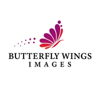 Butterfly Wings Images