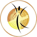 VK Innovations