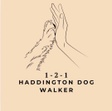 1-2-1 Solo Dog Walking
