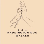 1-2-1 Solo Dog Walking