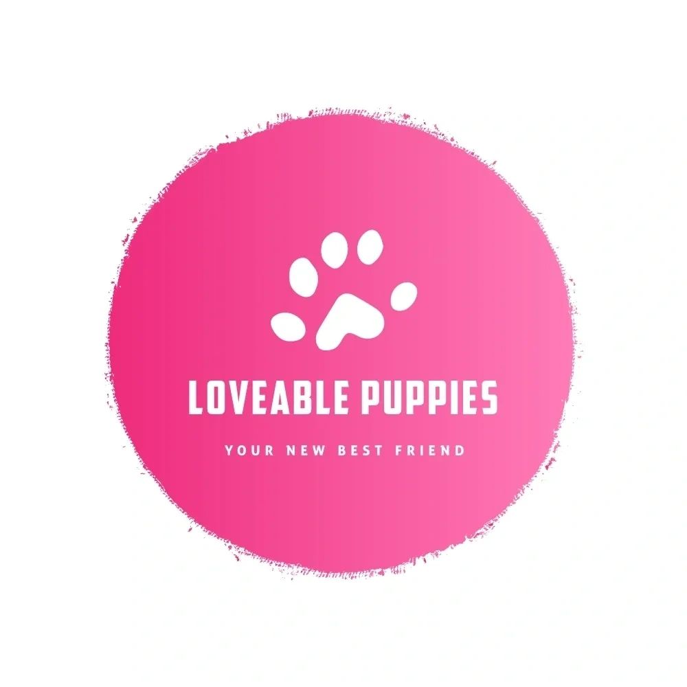 Our Breeds | Loveable puppies