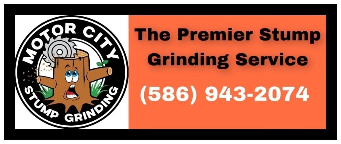 Stump Grinding - Motor City Stump Grinding