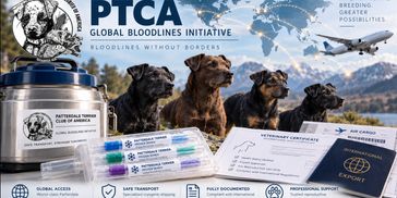 PTCA Global Bloodlines Initiative for dog breeding.
