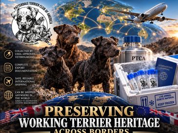Preserving working terrier heritage across borders.