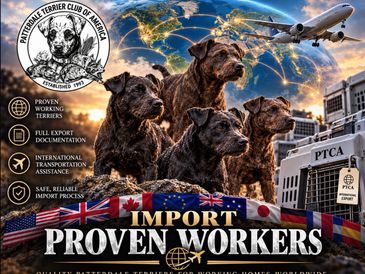 Patriotic terrier working dogs with plane and logos.