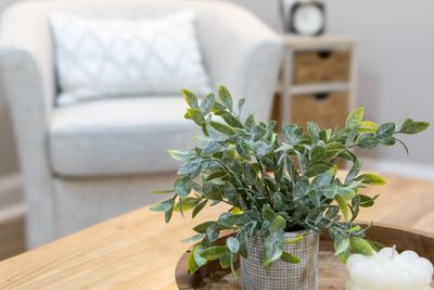 A fake plant on a coffee table with a cream colored chair in the background.