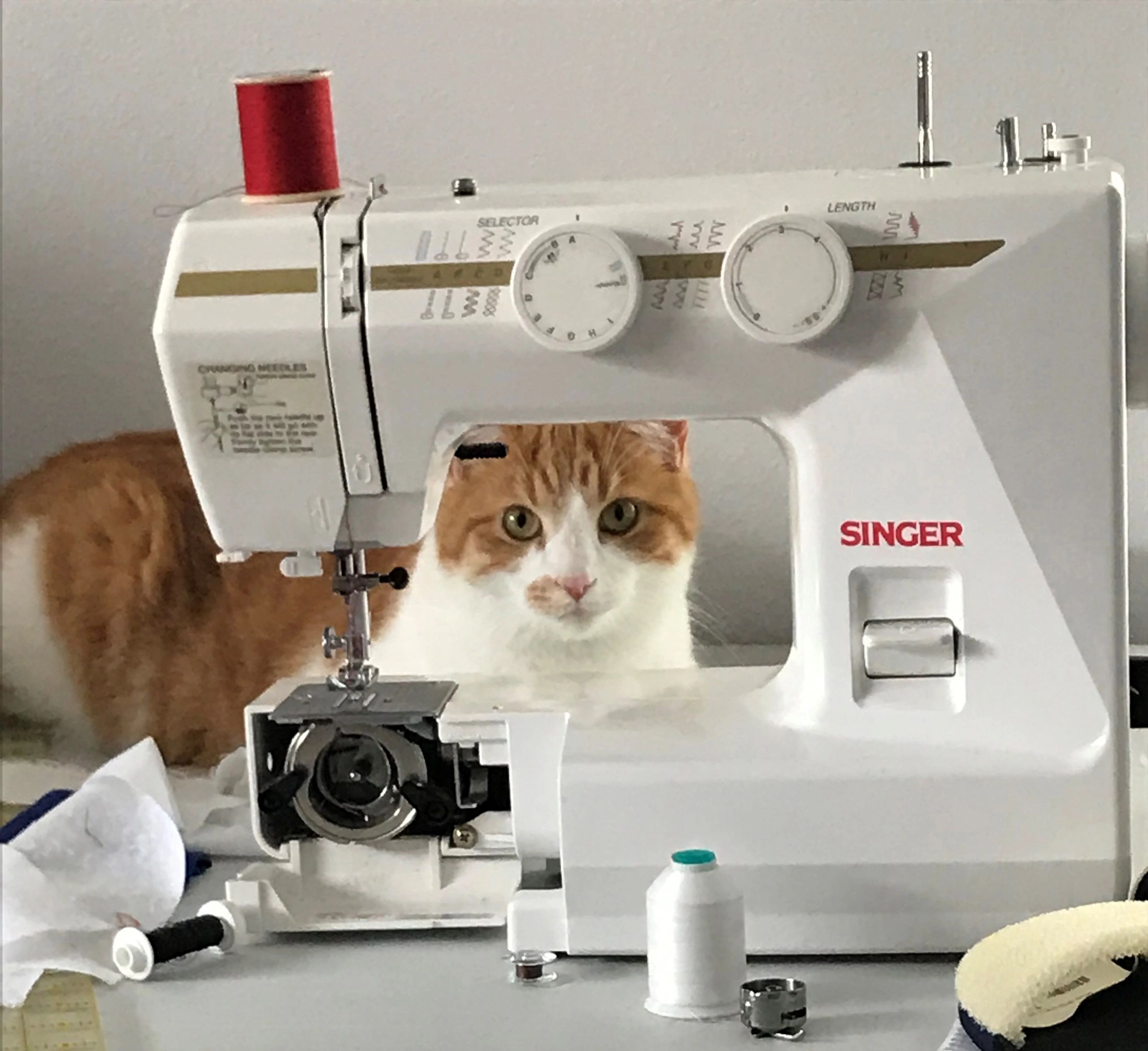 A Tale In Threads