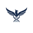 Phoenix Creative Lab
