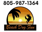 Beach Dog Fun
