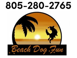 Beach Dog Fun