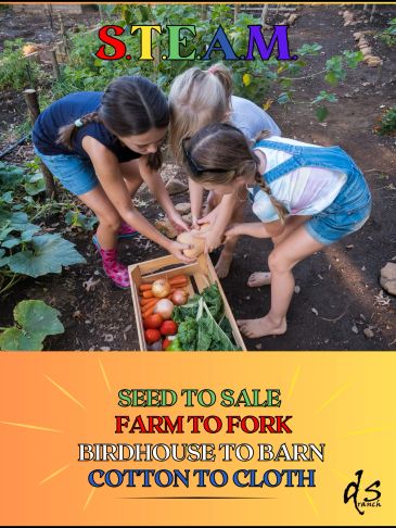 Children harvesting vegetables in a garden highlighting STEAM concepts.