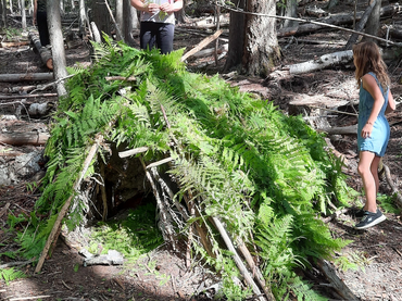 children building a shelter from sticks, ferns and grasses