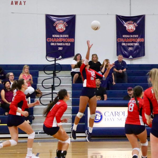 Asheville Volleyball