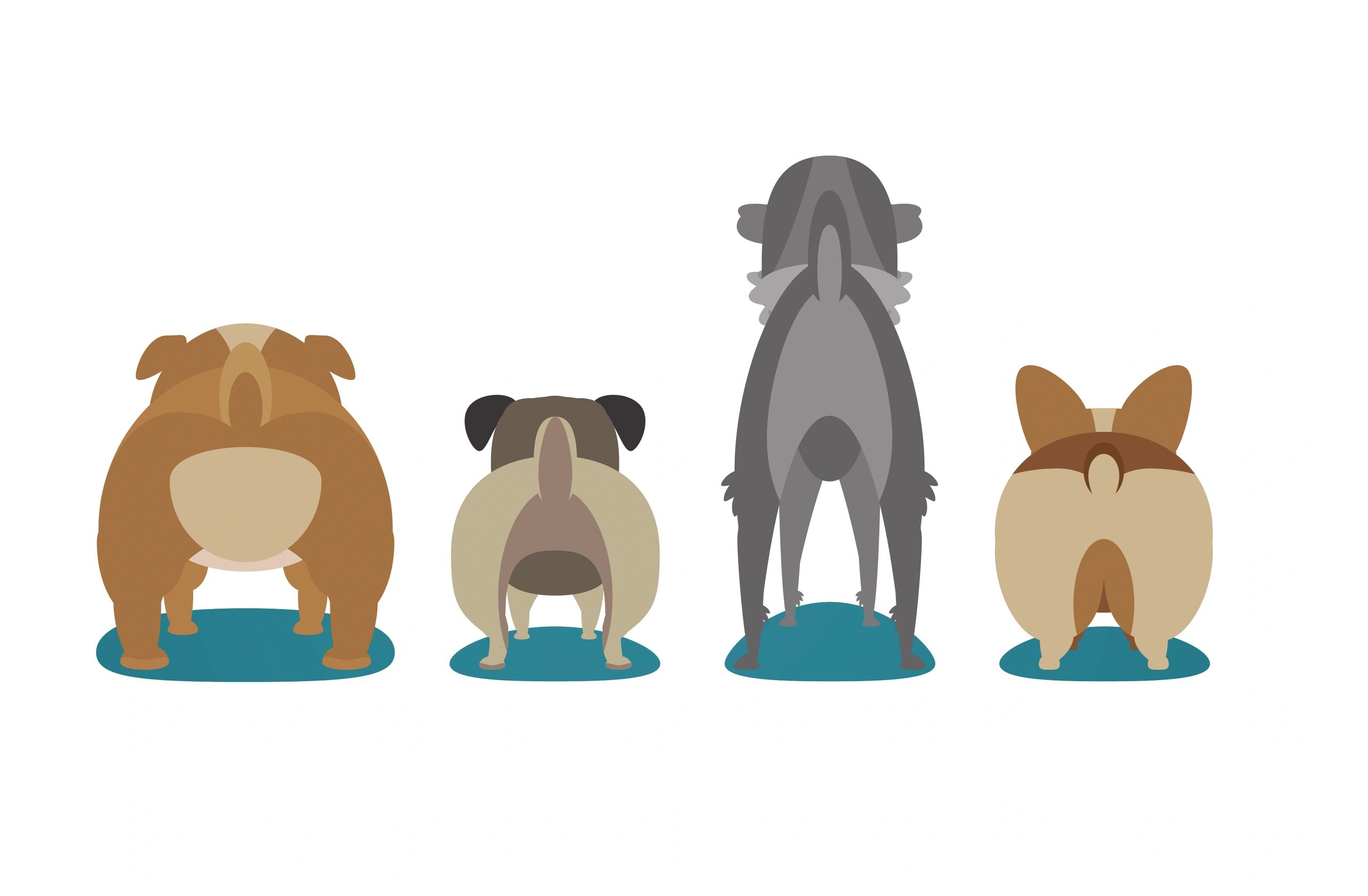 Pet Waste Removal K9 Waste Solutions