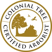 Colonial Tree Service
(757)561-0123