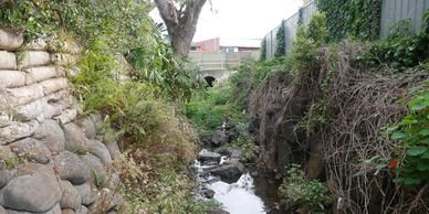 Flood mitigation, review of environmental factors, water testing, environmental consultant