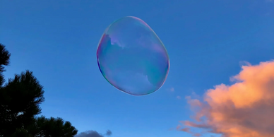 A scenic image of a bubble