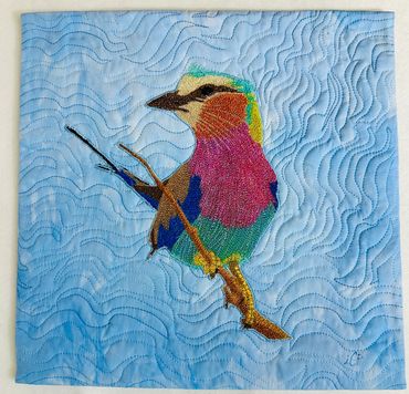 Speke's Weaver on blue background