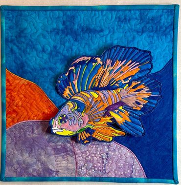 Mandarin fish on reef