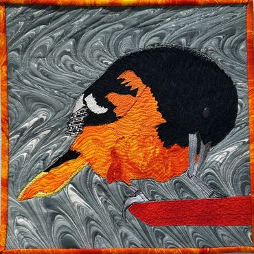Oriole on Feeder - 12"x12"