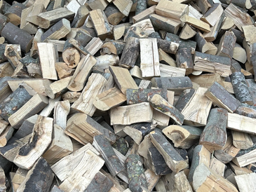 A large pile of firewood logs.