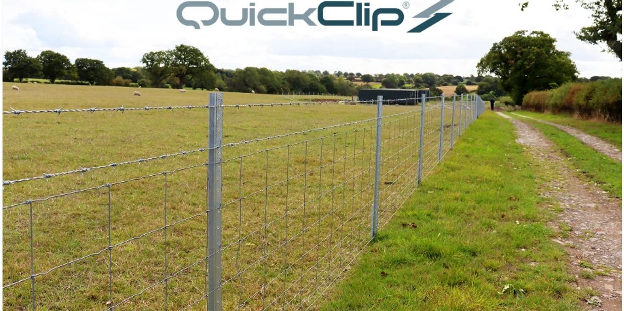 Barbed wire and mesh fence along a rural path.