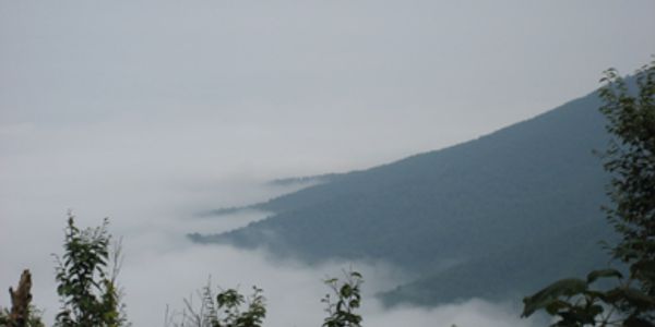 The misty mountains of Appalachia