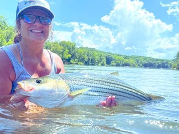 Fully Guided Fly Fishing for migratory Striped Bass on the Etowah River