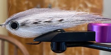 Bucktail deceiver style swim fly in shad colors