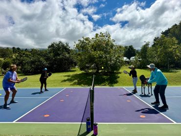 Pickleball lessons or drills at reasonable rates.