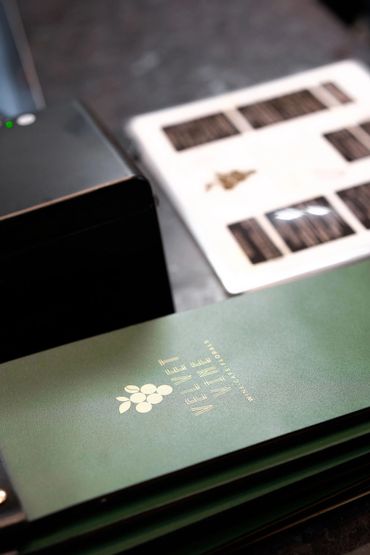 Green menu with gold text reading "Veeet Veeel Vine" on a dark surface.