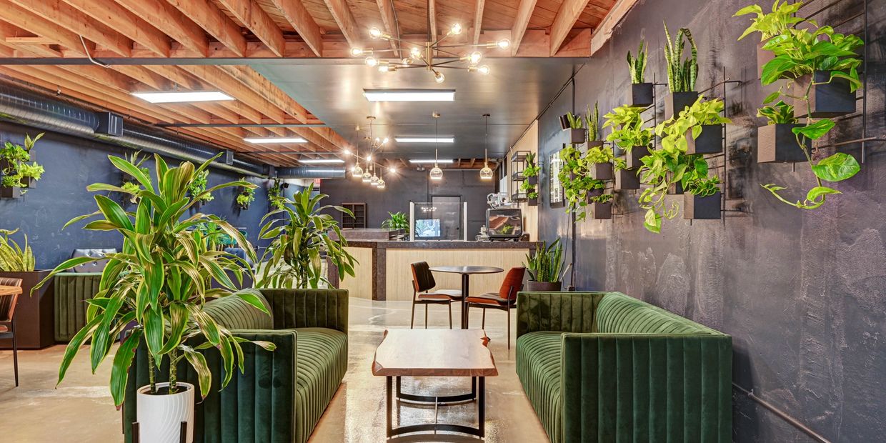 Modern lounge area with green sofas and abundant plants against dark walls.