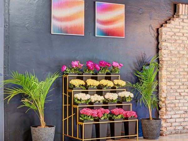 Colorful flowers on a gold stand between two potted palm plants against a black wall.